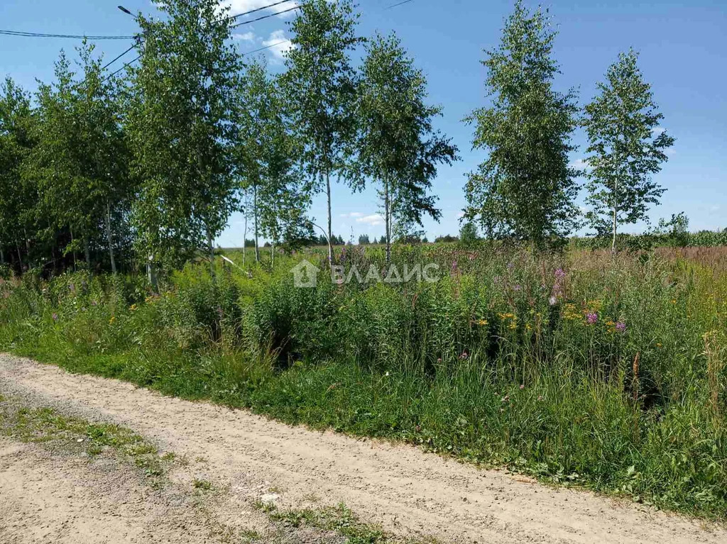 Собинский муниципальный округ, село Бабаево, Родниковая улица,  земля ... - Фото 8