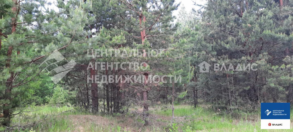 Продажа участка, Сумбулово, Спасский район - Фото 2
