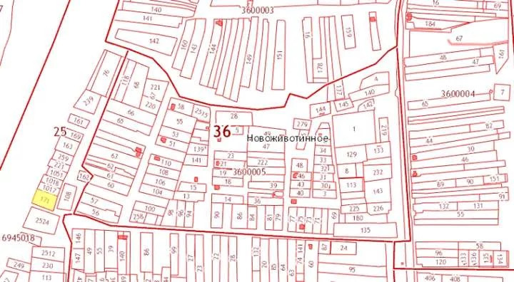 Кадастровая карта новоживотинное