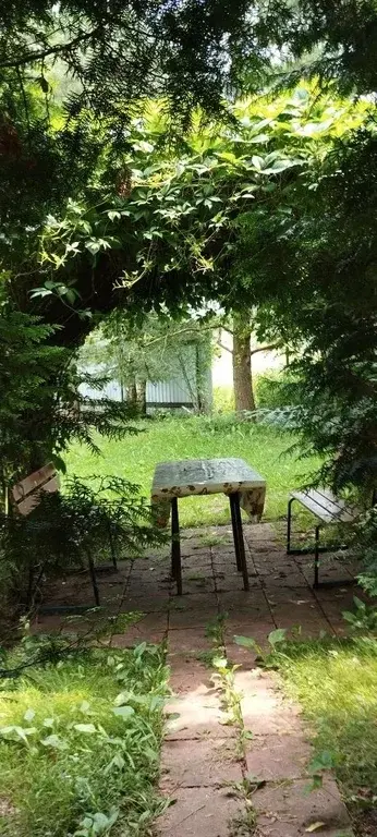 Сдаю дачу на лето у реки - Фото 7