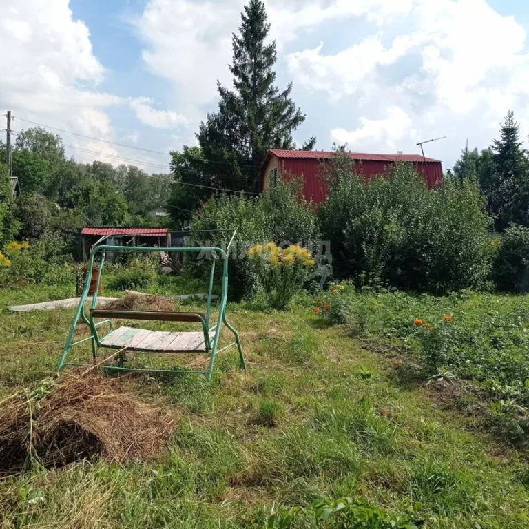 Продажа дома, Новосибирск, садовое товарищество Березовая Роща - Фото 20