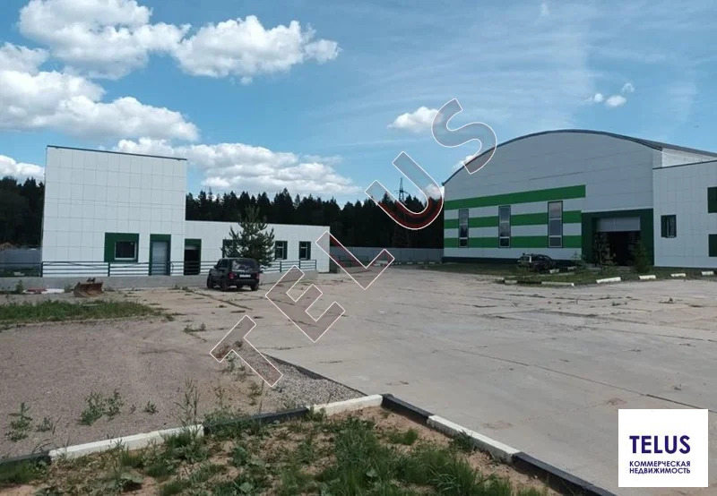 МО Дмитровский р-н д Шолохово 4770м2 Склад (ном. объекта: 8286) - Фото 6