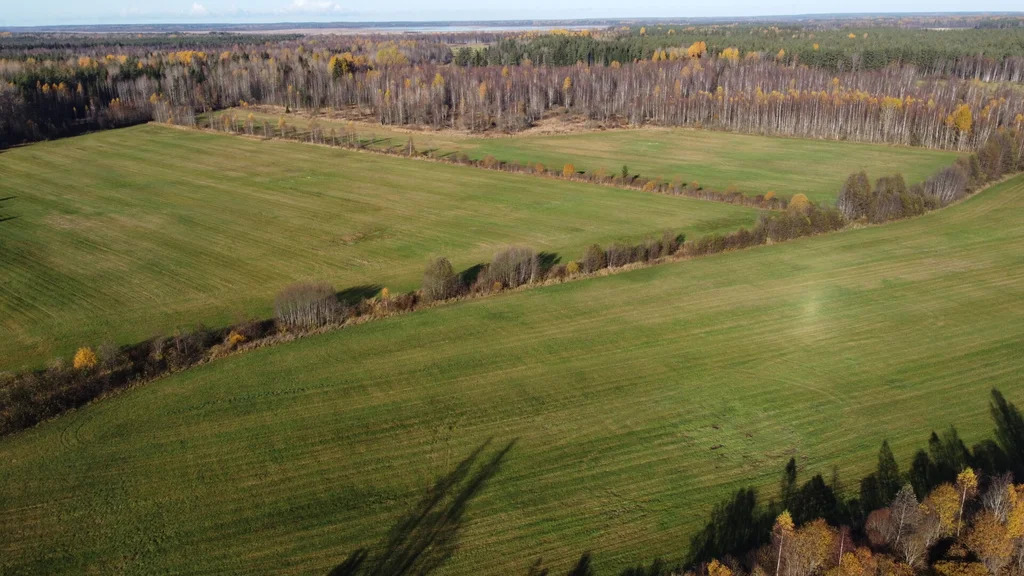 Продажа участка, Правдино, Выборгский район - Фото 14