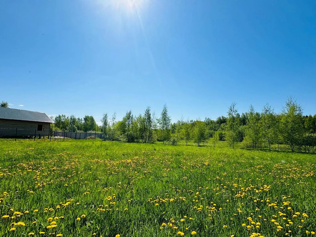 Продажа участка, Власково, Дмитровский район - Фото 1