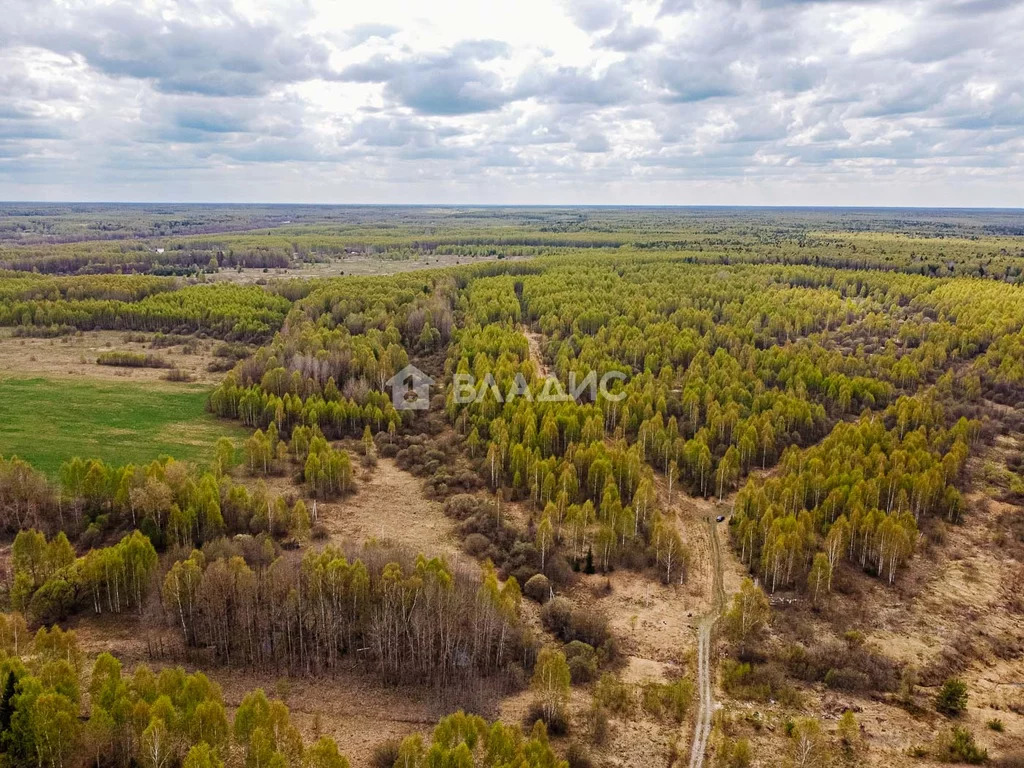 Судогодский район, деревня Кощеево, земля на продажу - Фото 4