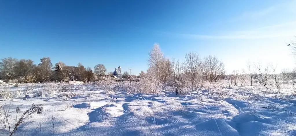 Продаю участок в Суздальской районе - Фото 0