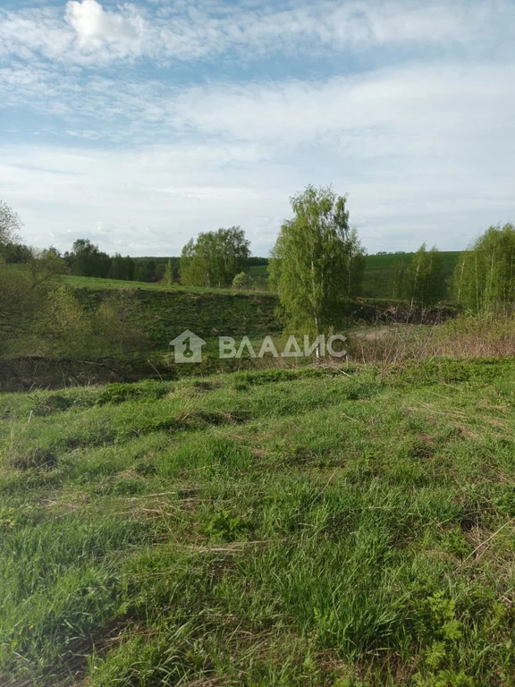 Суздальский район, село Новоалександрово, Владимирская улица, земля . - Фото 3