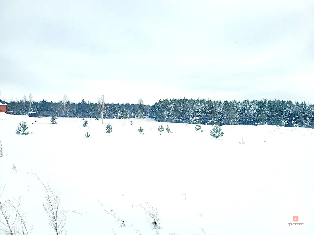 Продажа дома, Шемордан, Сабинский район, ул. Родниковая - Фото 19