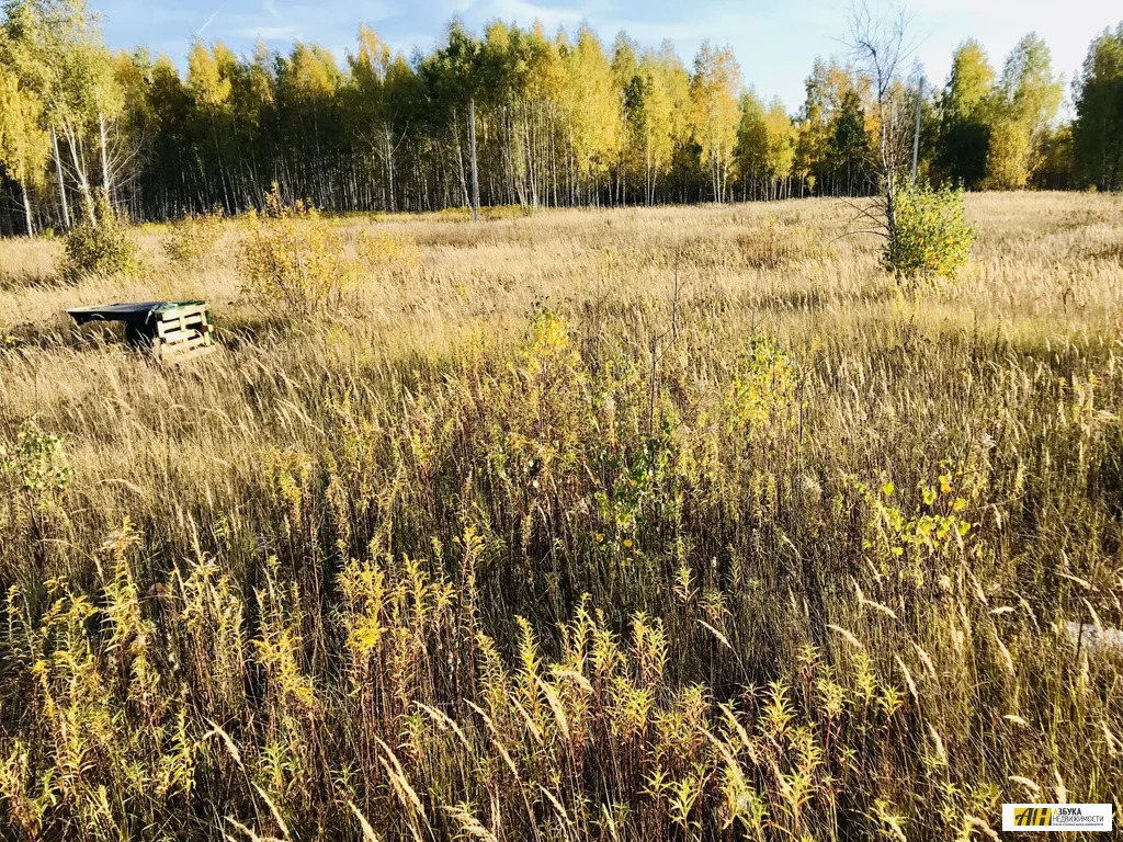 Продажа участка, Обухово, Богородский г. о. - Фото 8