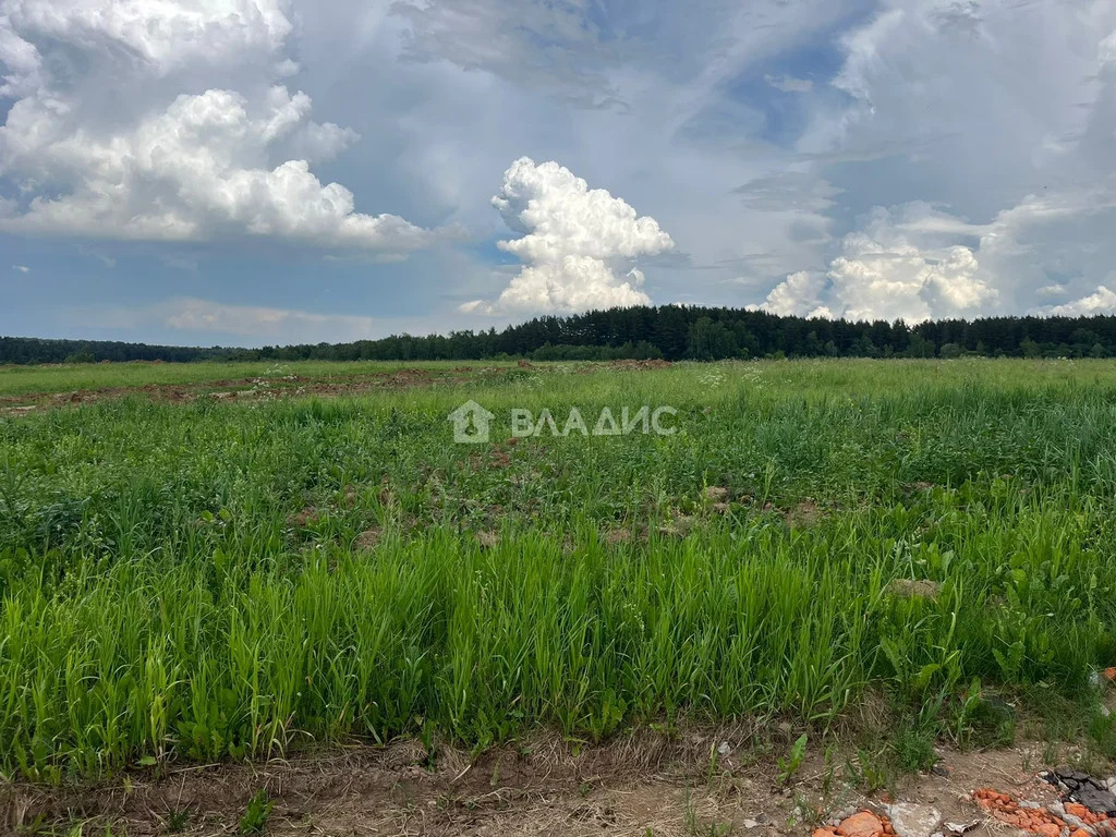 городской округ Подольск, коттеджный посёлок Бородино,  земля на ... - Фото 13