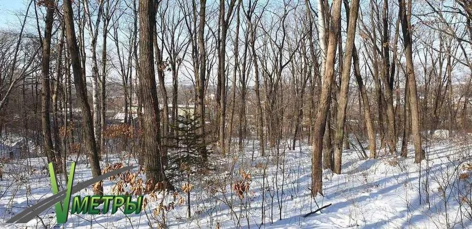 Участок владивосток. Улица на Садгороде Владивосток. Ломаная улица Комарово.