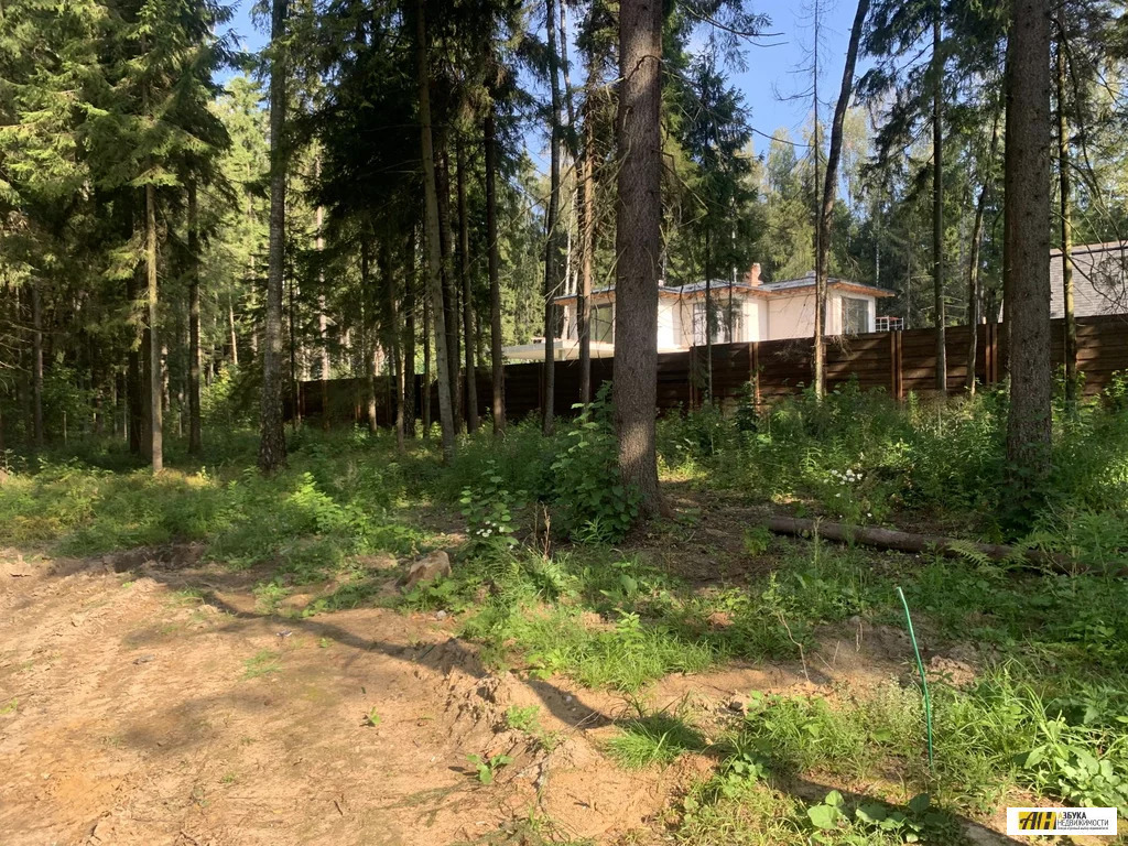 Продажа участка, Истринский район - Фото 7