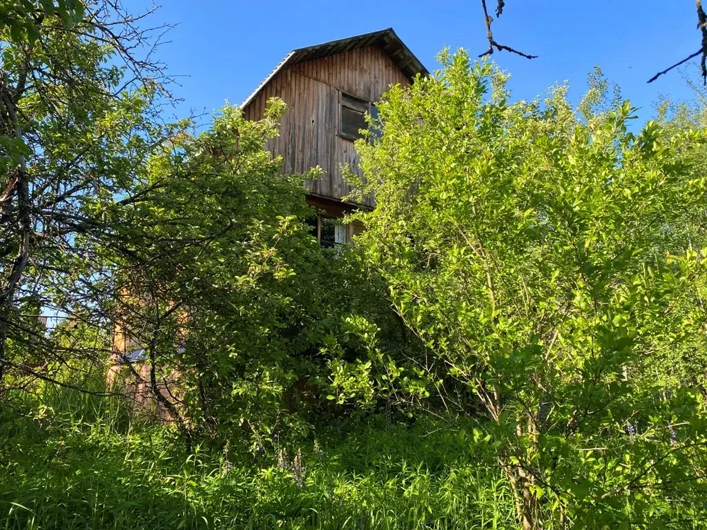 Дача в СНТ Химик - Фото 1