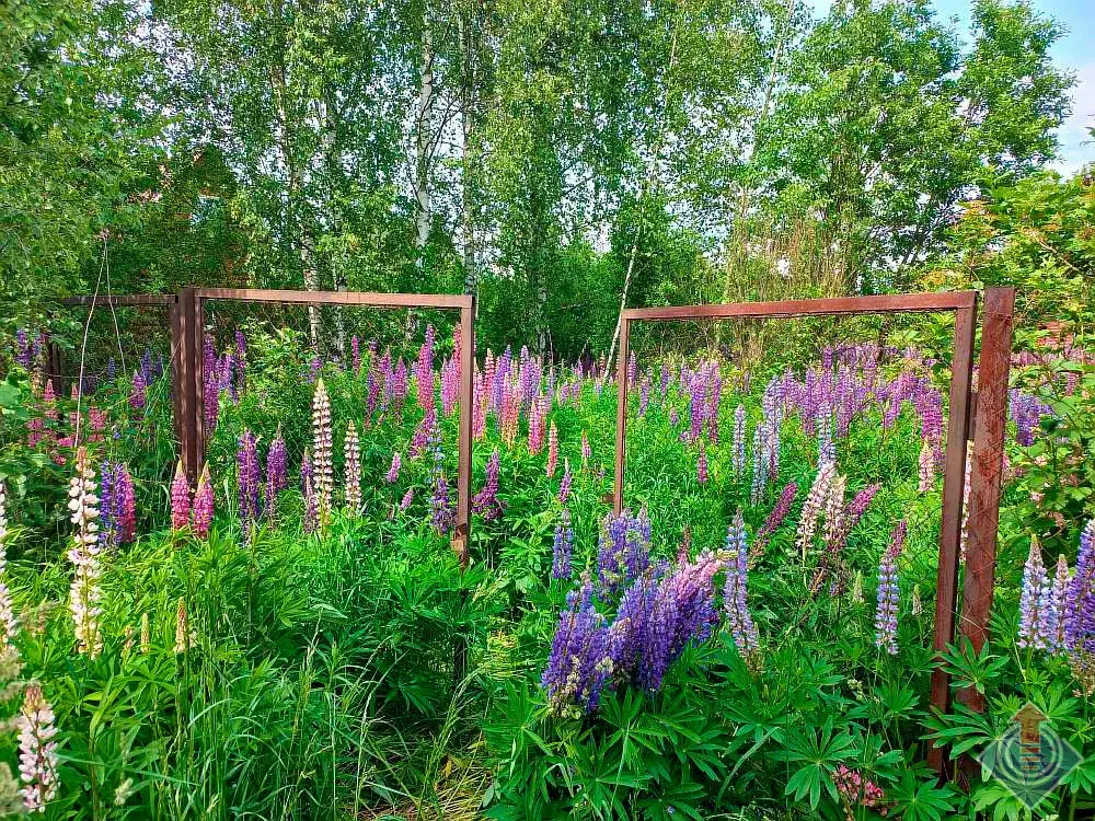 Продажа лесной дачи на 10 сот. в СНТ Порядино, Наро-Фоминский район - Фото 20