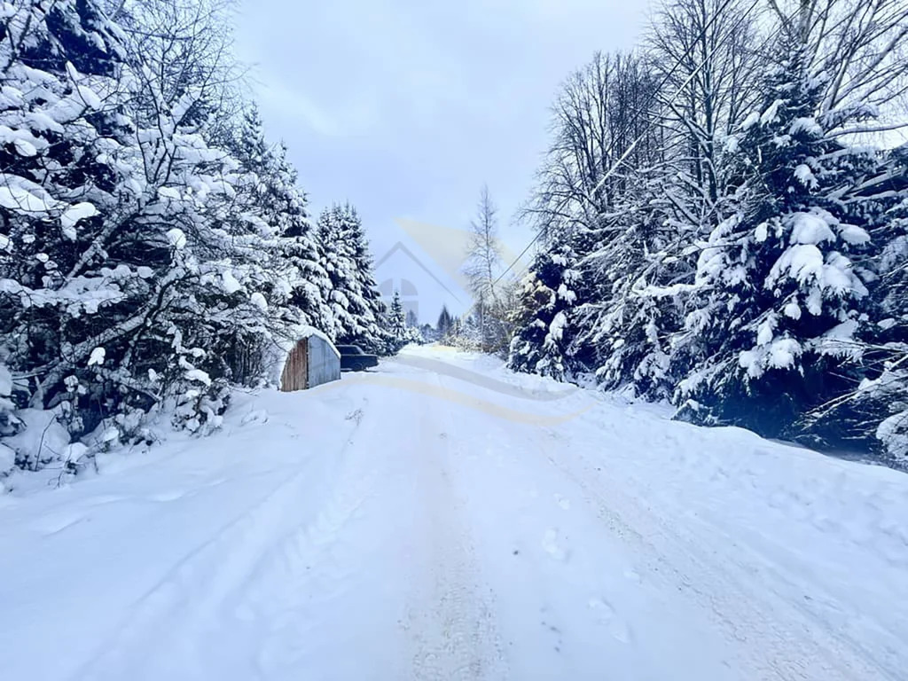 Продажа участка, Сокольники, Дмитровский район - Фото 11