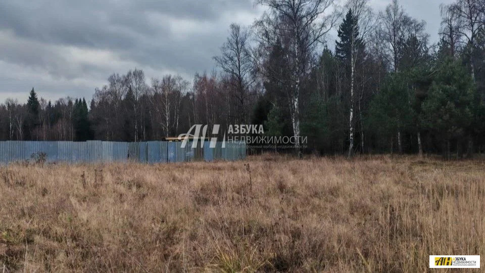 Продажа участка, Ямкино, Богородский г. о. - Фото 2