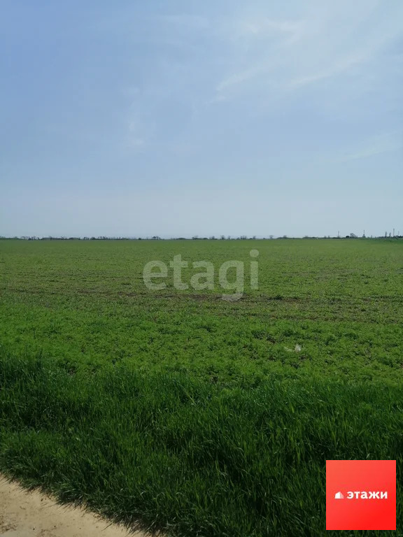 Продажа участка, Фрунзе, Сакский район - Фото 1