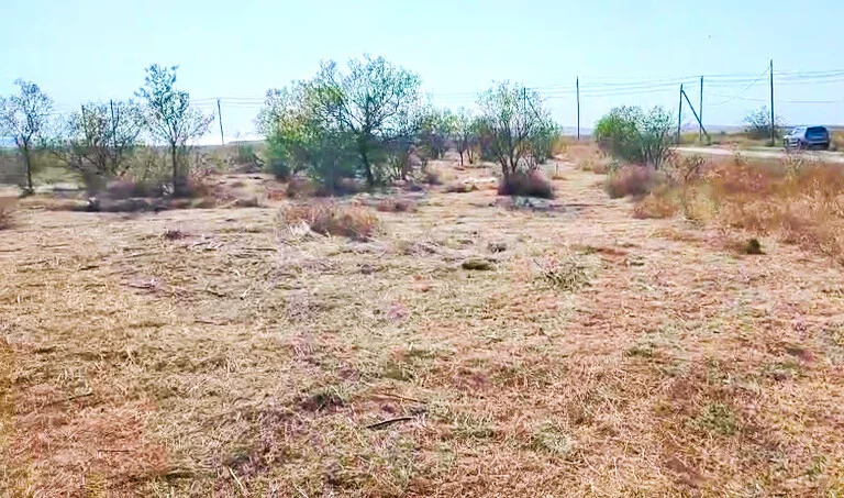 Продажа участка, Веселовка, Темрюкский район - Фото 1