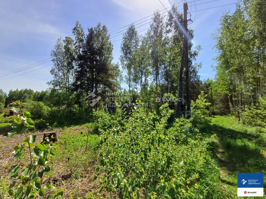 Продажа участка, Рязанский район, садоводческое товарищество Ранет - Фото 7