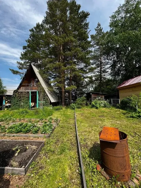 Продам дачу СНТ Изумруд - Фото 14