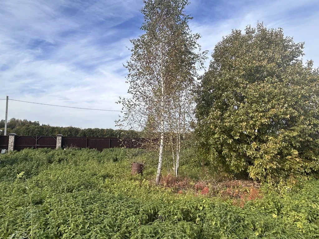 Продажа дома, Бородино, Дмитровский район, ул. Новобородинская - Фото 12