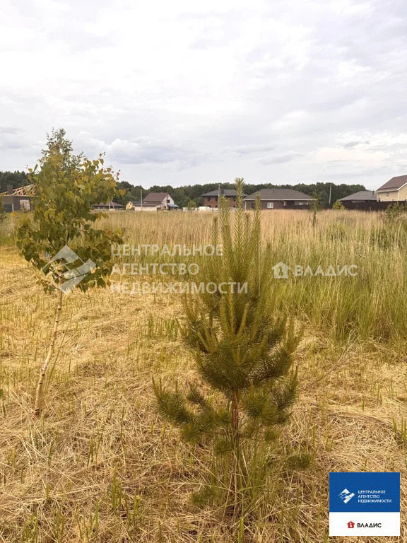 Продажа участка, Рязанский район - Фото 6