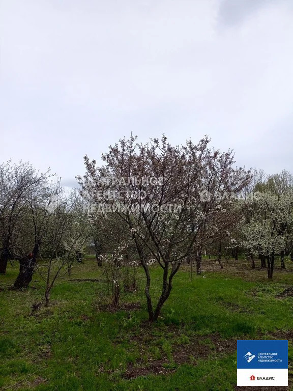 Продажа дома, Федоровка, Михайловский район, ул. Новый поселок - Фото 15