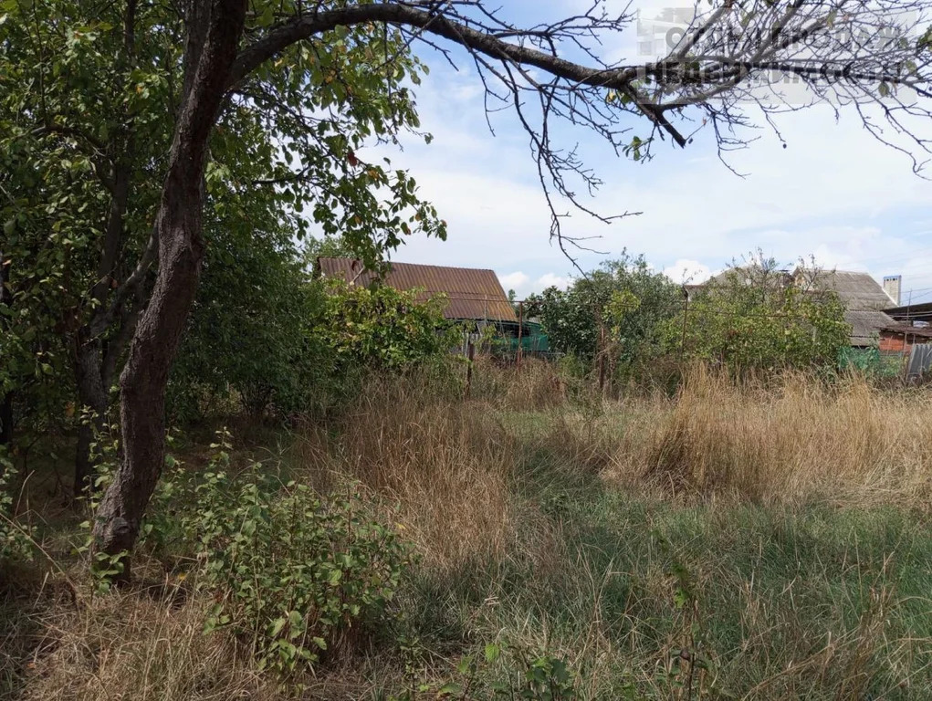 Объект 537551 - Фото 15