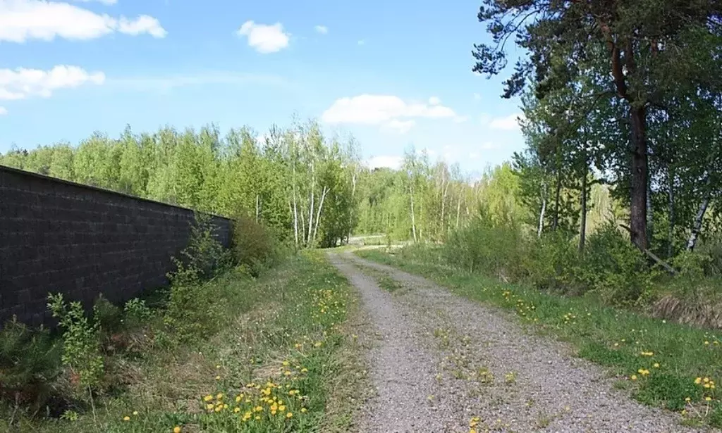 Продажа большого лесного участка в поселке на Новорижском шоссе 18км - Фото 2