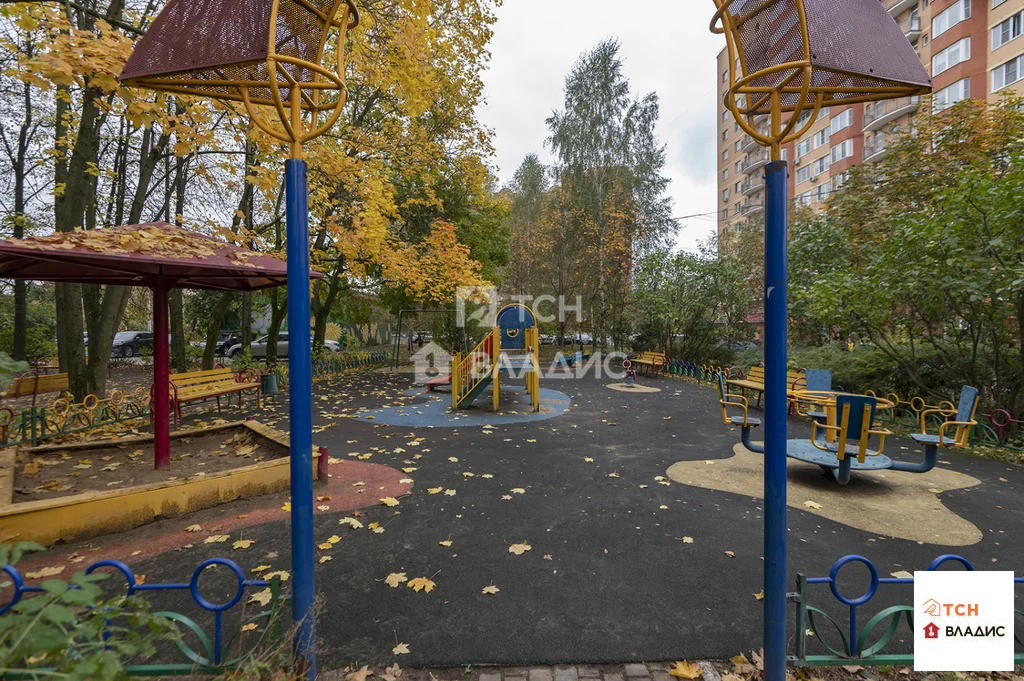 городской округ Пушкинский, Ивантеевка, Школьная улица, д.16, ... - Фото 38