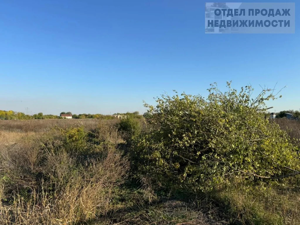 Участок в Киевской - Фото 3