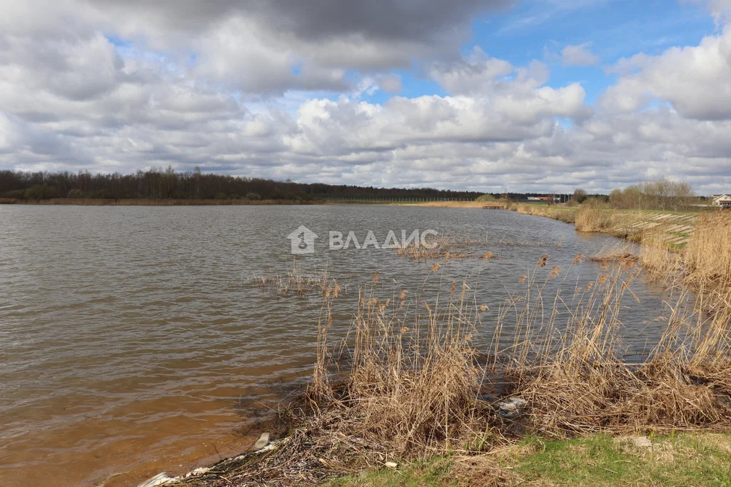 городской округ Шаховская, деревня Харитоново,  дом на продажу - Фото 37