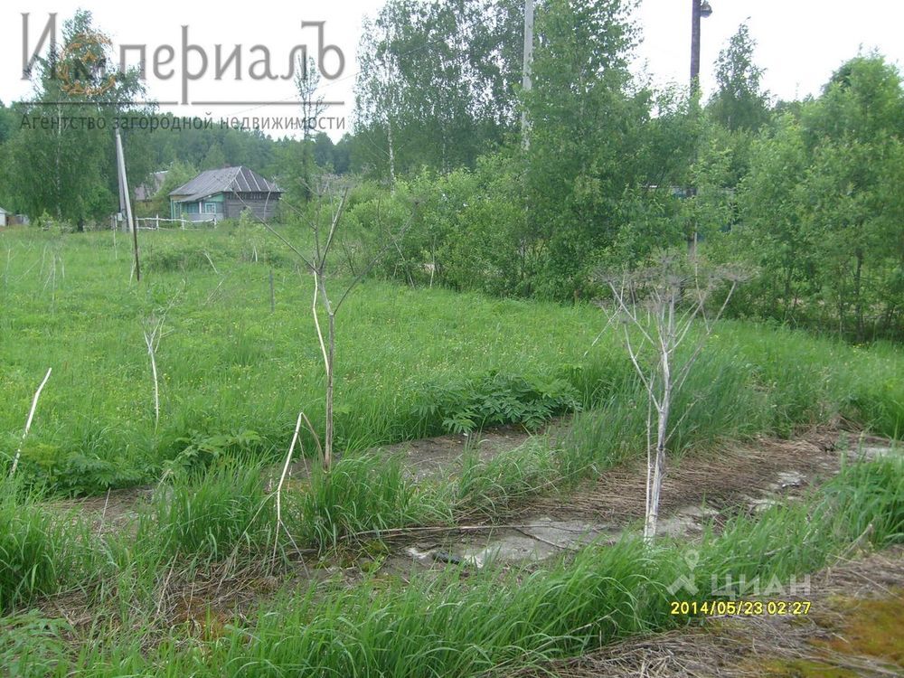 Деревня боровское. Д деревеньки Боровского района Калужской области. Калужская область Боровский район деревня деревеньки. Деревня деревеньки Боровский район Калужской области дороги. Белые ключи Боровский район.