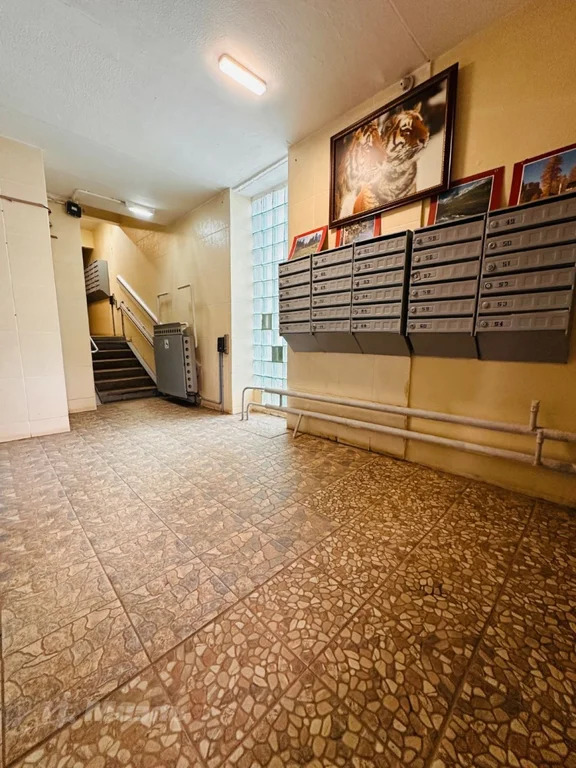 1-комнатная квартира - Фото 3