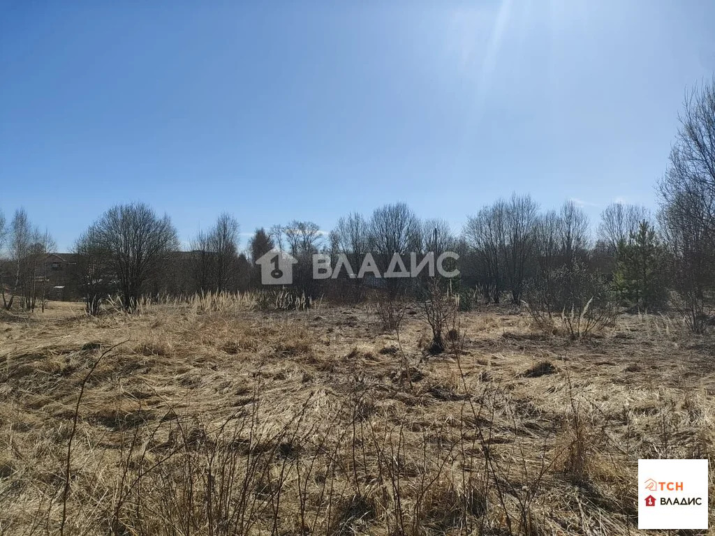 Продажа участка, Новопареево, Щелковский район, 1-я Амеревская улица - Фото 6