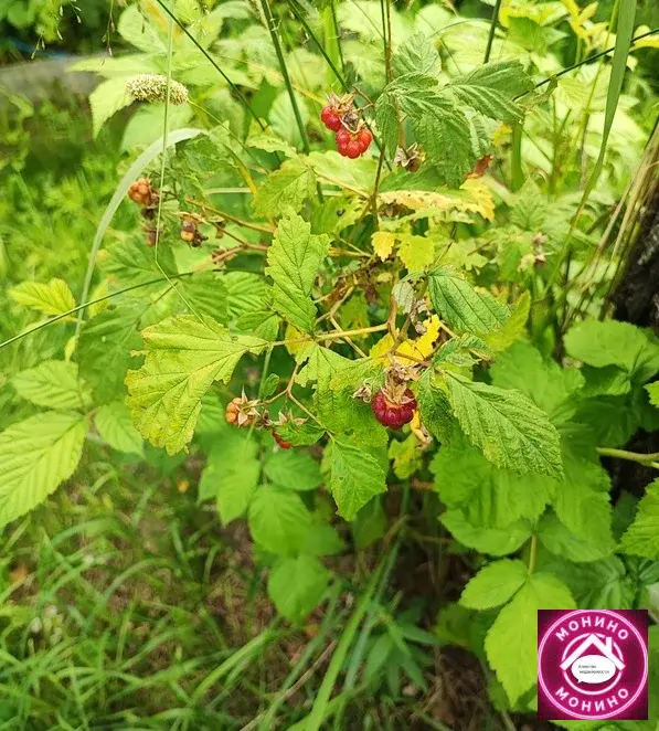 Продам дачу. - Фото 7