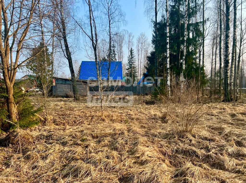 Продажа участка, Талдом, Талдомский район - Фото 10