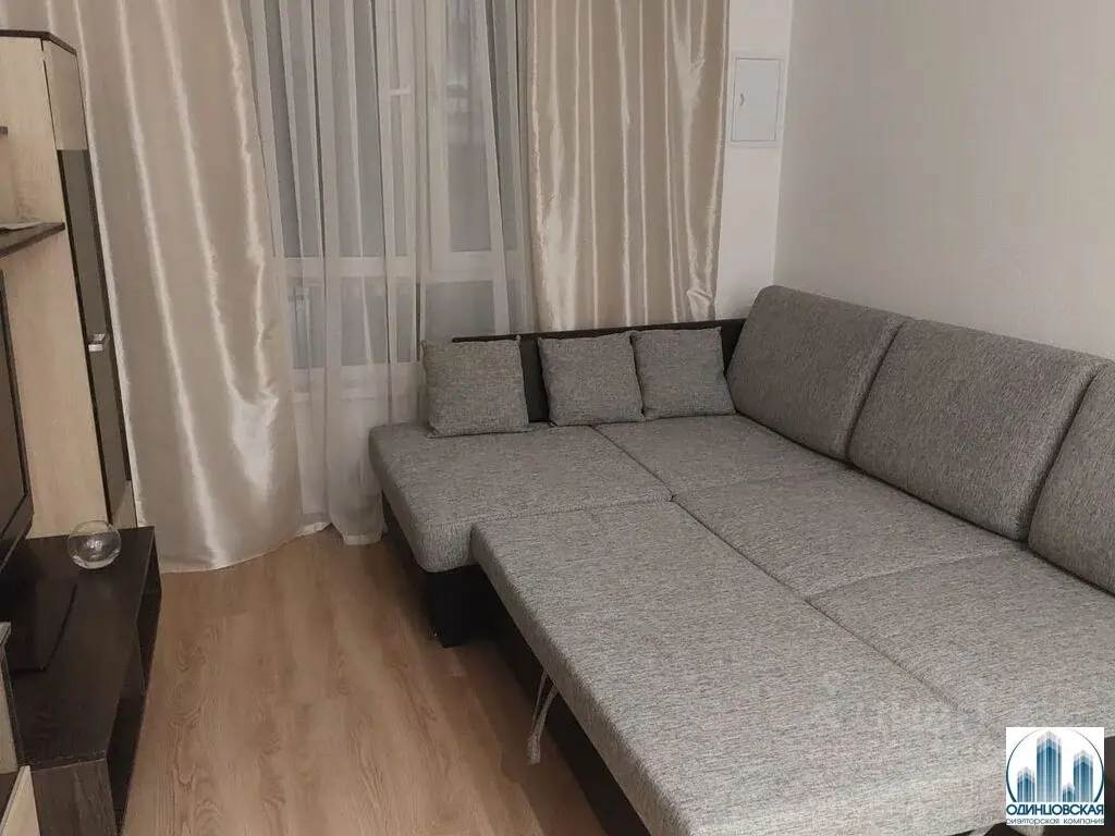 Продаю 1-комн.квартиру ул. Каштановая д.11, мкр.Одинцово-1 - Фото 5