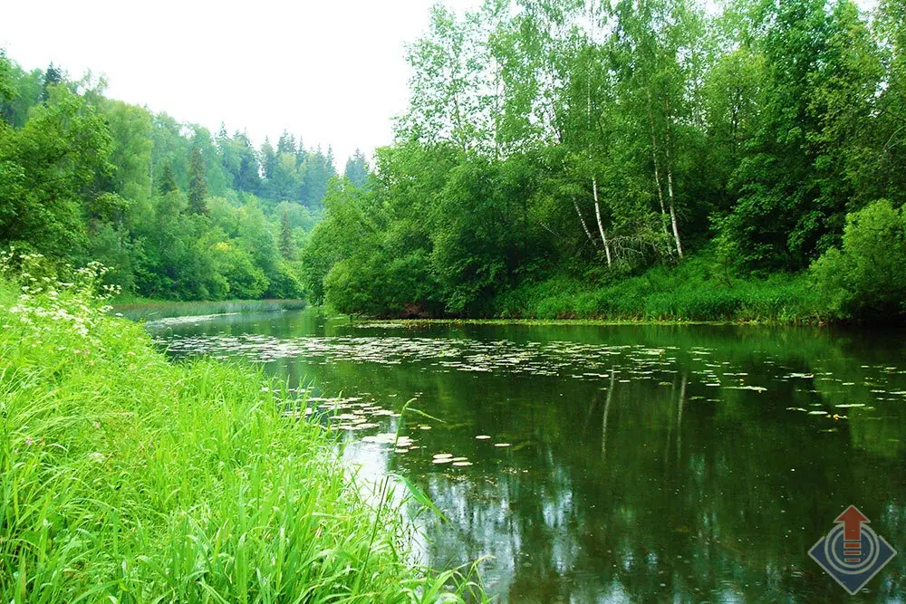 Продажа дома с баней в д. Мерчалово, Наро-Фоминский район - Фото 31