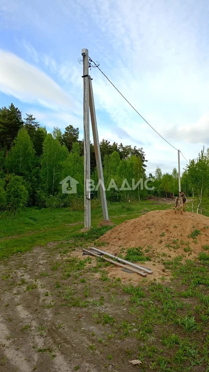 Камешковский район, посёлок Мирный,  земля на продажу - Фото 4