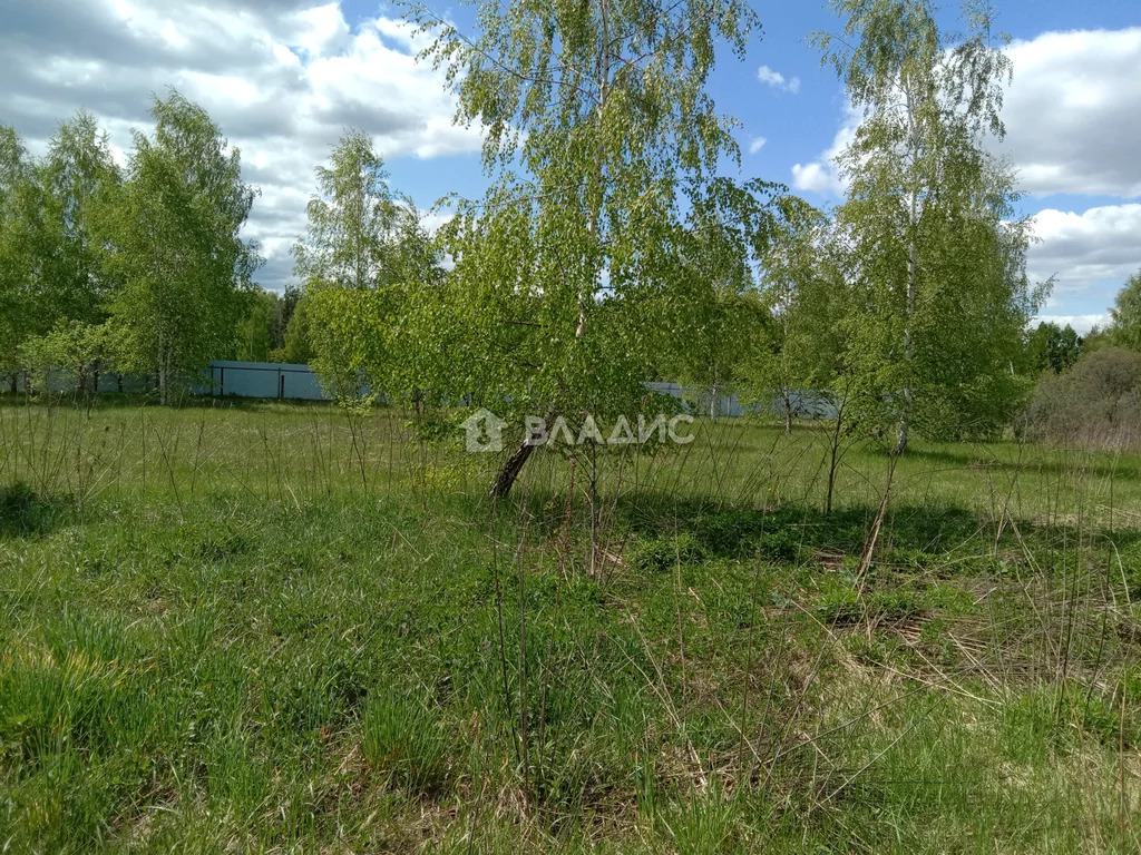 Камешковский район, деревня Близнино,  дом на продажу - Фото 16