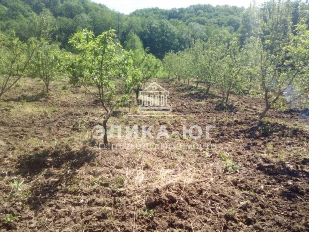 Продажа участка, Дефановка, Туапсинский район - Фото 16