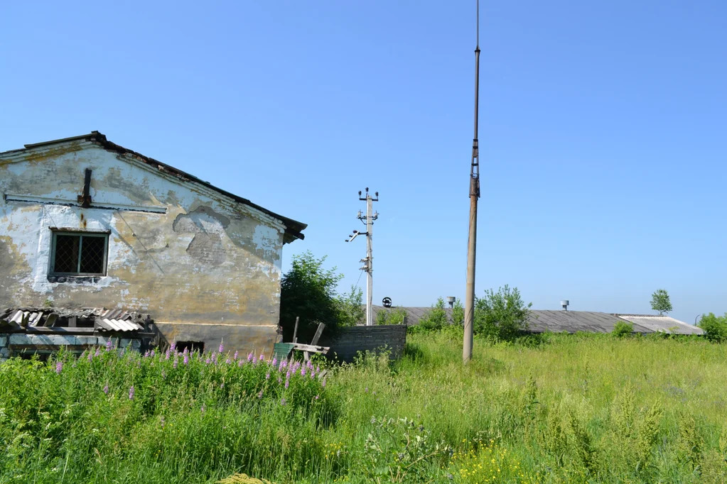 Продажа склада, Новокузнецк, Листвянское ш. - Фото 14