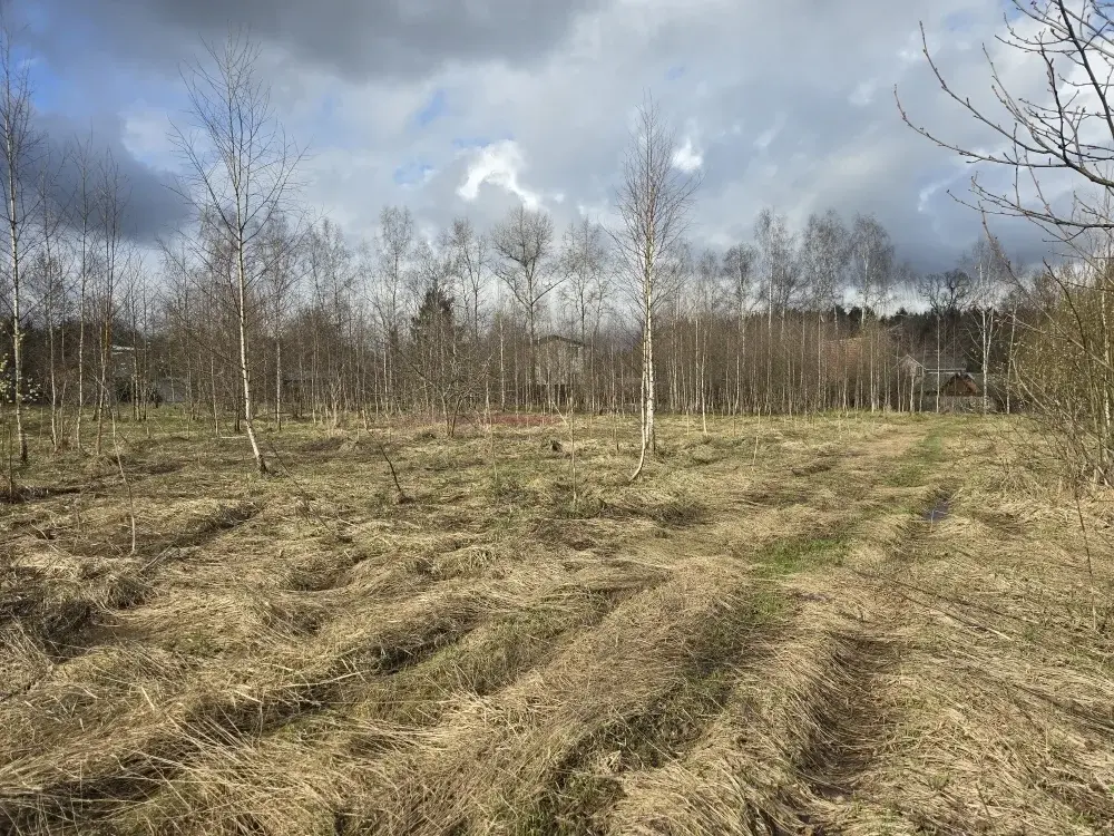 Продаю участок 10 соток в пос. Гарь-Покровское - Фото 9