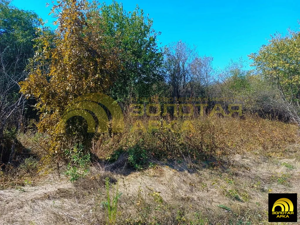 Продажа участка, Мингрельская, Абинский район, ул. Гагарина - Фото 5
