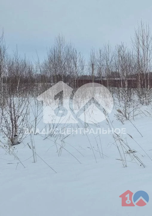 Новосибирский район, коттеджный поселок Южный,  земля на продажу - Фото 0