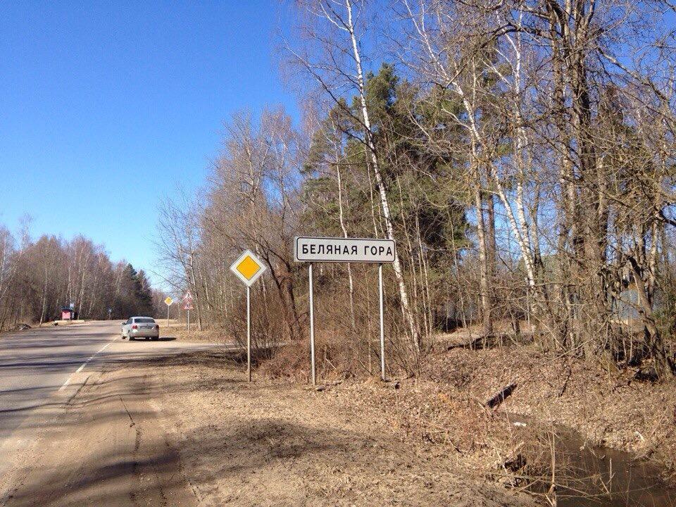 Беляная гора. Московская область Рузский район поселок Беляная гора. Поселок Беляная гора. Руза Московская область Беляная гора.