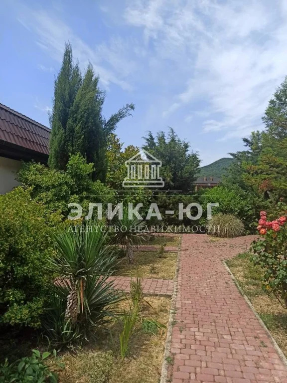 Продажа готового бизнеса, Ольгинка, Туапсинский район, ул. Солнечная - Фото 12