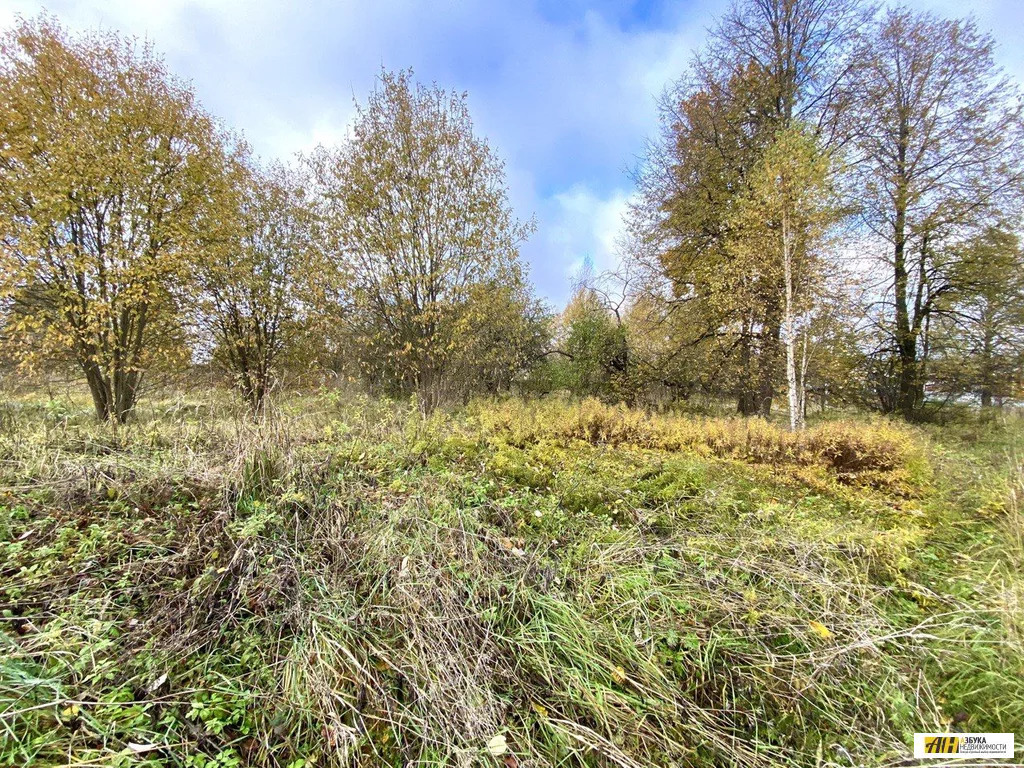 Продажа участка, Красный Балтиец, Можайский район - Фото 1