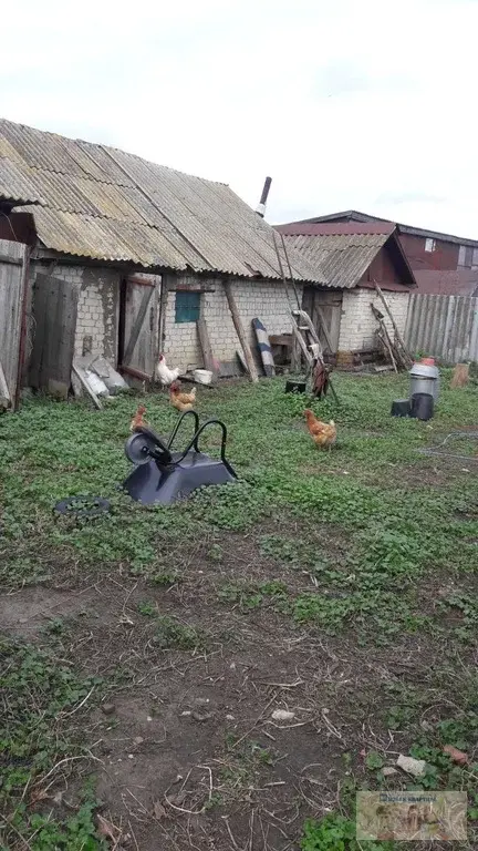 село березовка базарно-карабулакского района. село березовка базарный карабулак. погода березовка базарный саратовская. тепляковская школа базарно-карабулакского района. погода березовка базарный саратовская.